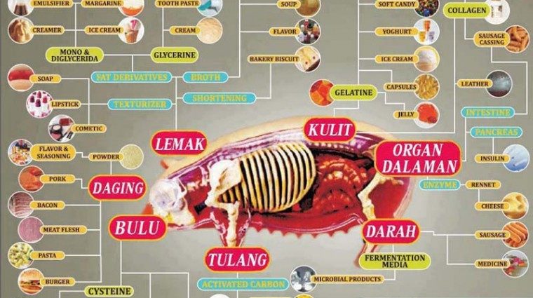 Waspadai Roti Mengandung Shortening Dari Lemak Babi Jakarta Islamic Centre