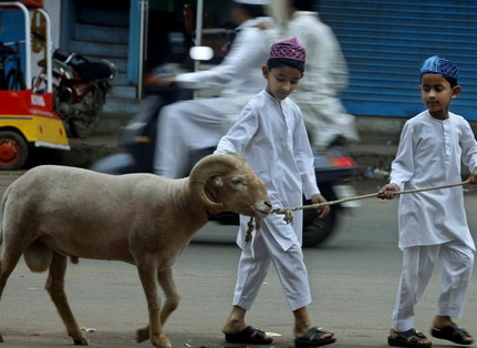 memotong kuku kurban
