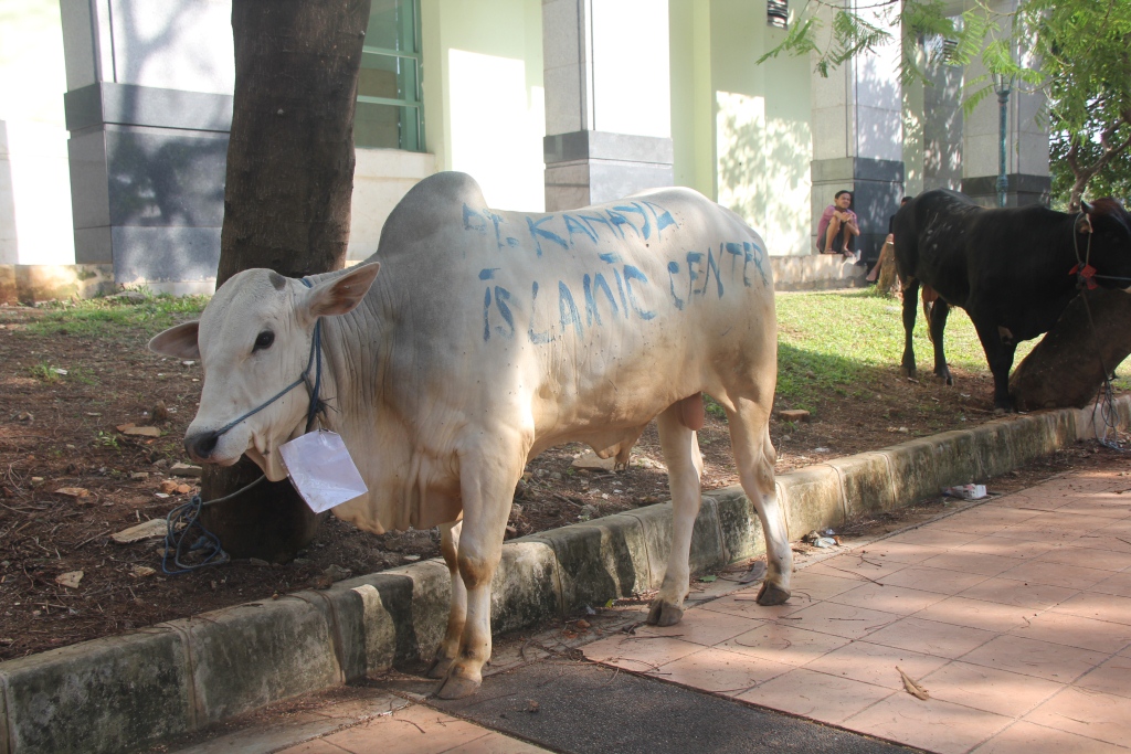 HEWAN QURBAN DI JAKARTA UTARA DINYATAKAN NEGATIF ANTRAKS - Jakarta