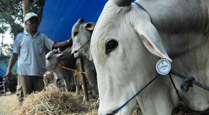 041050400_1412568875-MASJID-ISTIQLAL-141006