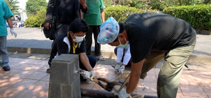 ini-panduang-Menag-terkait-idul-qurban-1443-h ini-panduang-Menag-terkait-idul-qurban-1443-h