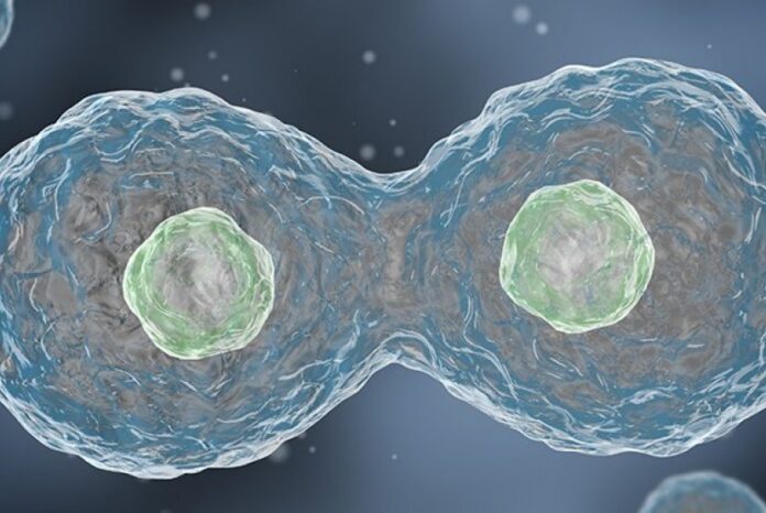 replika-dna-ilustrasi-_171202134118-876