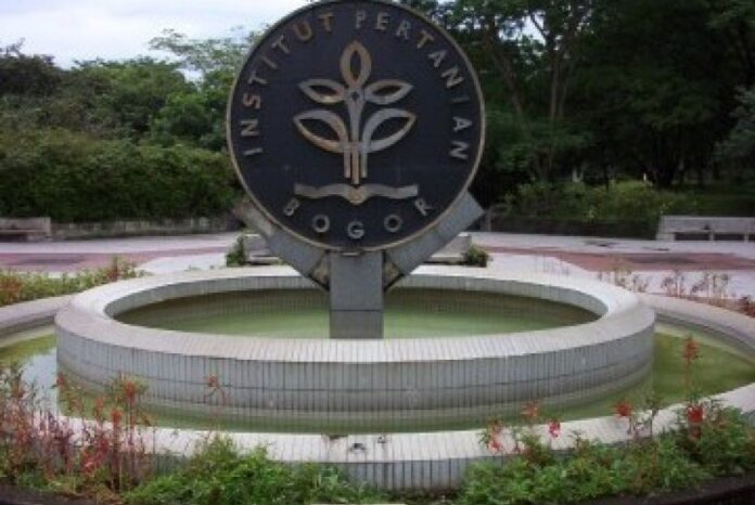 ipb-_140508134222-235