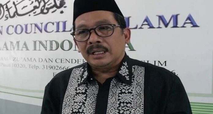 wakil ketua mui