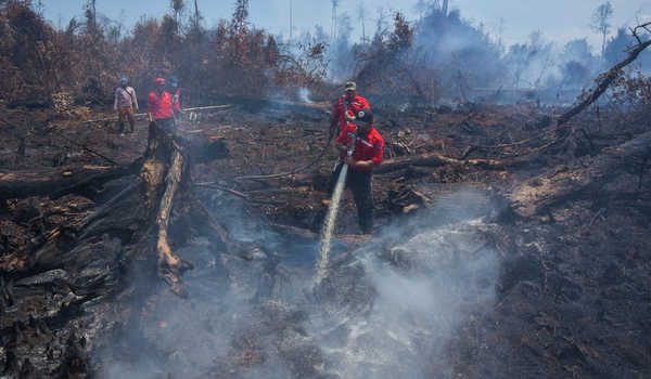 Sejumlah personel pemadam kebakaran dari PT Sumatera Riang Lestari melakukan proses pemadaman kebakaran hutan yang berbatasan dengan konsesi perusahaan di Pulau Rupat Kabupaten Bengkalis, Riau, Rabu (27/2/2019). Kebakaran hutan dan lahan (Karhutla) di Pulau Rupat sudah berlangsung selama sebulan sejak mulai membara pada 28 Januari 2019, dan tim pemadam gabungan dari Satgas Darurat Karhutla Riau dibantu perusahaan kini mulai bisa mengendalikan kebakaran di daerah tersebut. ANTARA FOTO/FB Anggoro/19.