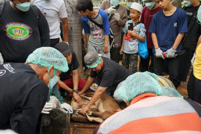 qurban JIC berikan-edukasi-ppij-lakukan-pratik-penyembelihan-hewan-qurban