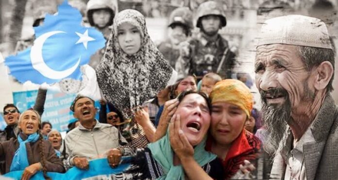 tutupi_kasus_uighur_komisaris_ham_pbb_dituntun_mundur tutupi_kasus_uighur_komisaris_ham_pbb_dituntun_mundur