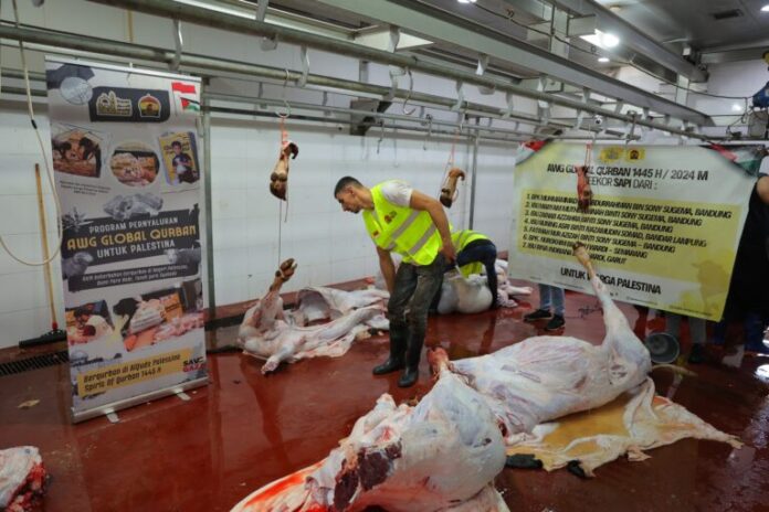 di-tengah-agresi-israel-awg-salurkan-daging-kurban-ke-gaza