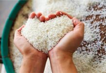 JURNAL AL-MADINAH: GERAKAN SEDEKAH BERAS, HARMONISASI, SOLIDARITAS ANTAR UMAT BERAGAMA, KAMPUNG TOLERANSI jurnal-al-madinah-gerakan-sedekah-beras-harmonisasi-solidaritas-antar-umat-beragama-kampung-toleransi