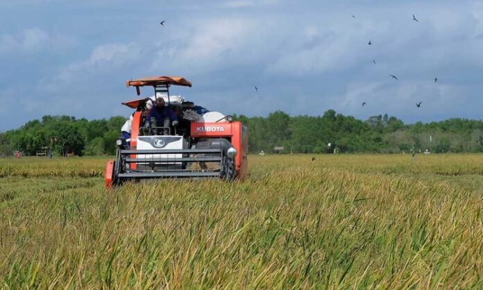 antarafoto-petani-memanfaatkan-mesin-panen-padi-270722-nhw-1