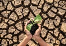 EKO-JIHAD, JALAN SPIRITUAL MUSLIM DALAM MENYELAMATKAN BUMI