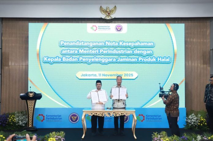 IMG-20251113-WA0006-850x560