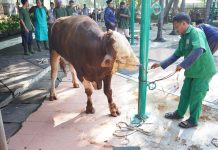 JAKARTA ISLAMIC CENTRE BAGIKAN RIBUAN KANTONG DAGING KURBAN PADA IDUL ADHA 1447 H