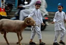 QURBAN SARANA MENINGKATKAN KETAKWAAN DAN KEPEDULIAN SOSIAL