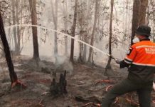 GENCARKAN PENANGANAN KARHUTLA DI KALIMANTAN, BAZNAS KERAHKAN PULUHAN PERSONEL DAN LAYANAN OKSIGEN